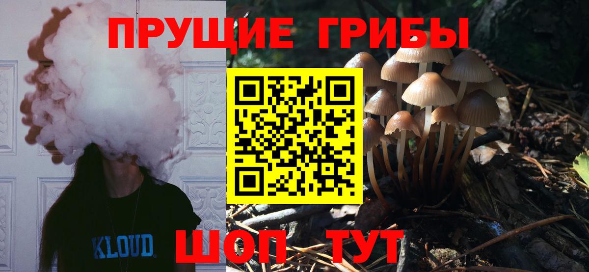продажа наркотиков  Галлюциногенные грибы GOLDEN TEACHER  Вход с VPN  Королёв 